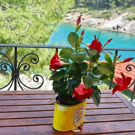 Apartment Bay House Rosohotnica